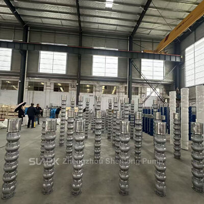 Cablelength 10 to 30 Meters Customizable Seawater Submersible Pump 10 Inch Diameter Suitable for Saltwater Pumping and Offshore