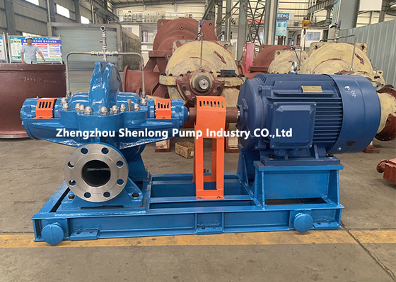 Sea Water Lifting Fish Farm Split Case Water Pump Seaculture Mariculture Marine