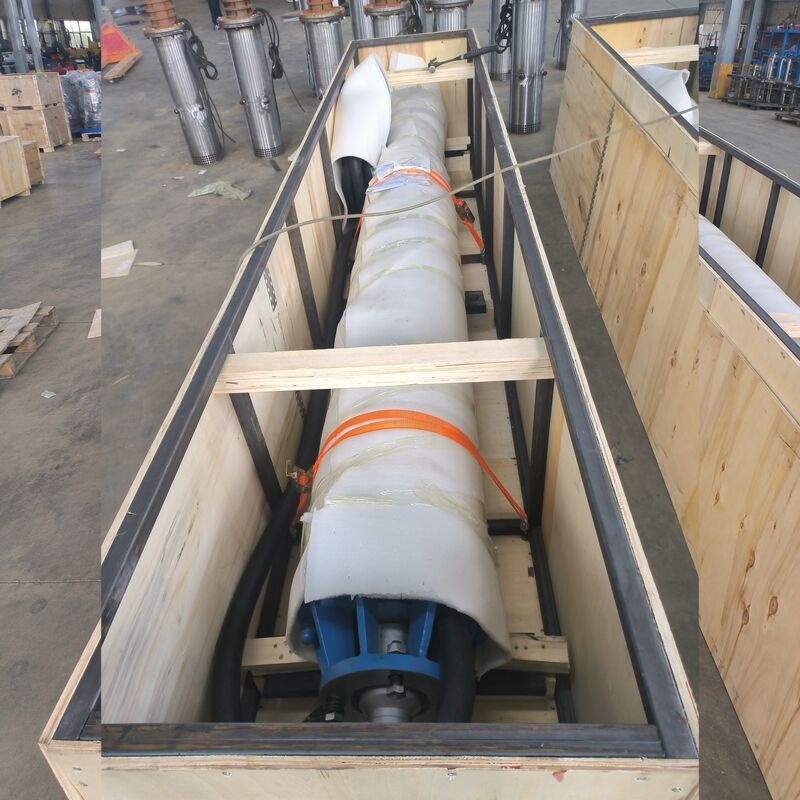 پمپ آب غوطه ور با ولتاژ بالا 300KW برای تخلیه معدن باکسیت با محرک های فولاد ضد زنگ